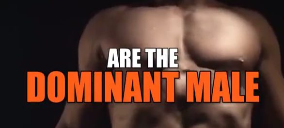 DOMINANT MALE