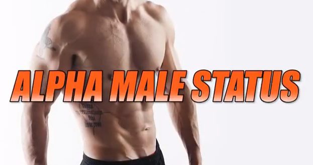 alpha male status