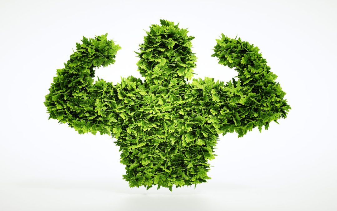 In Defense Of Food As Fuel