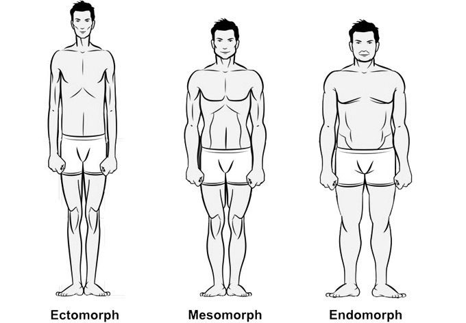 Endomorph-Ectomorph-Mesomorph: Why Body Types Are Bullshit