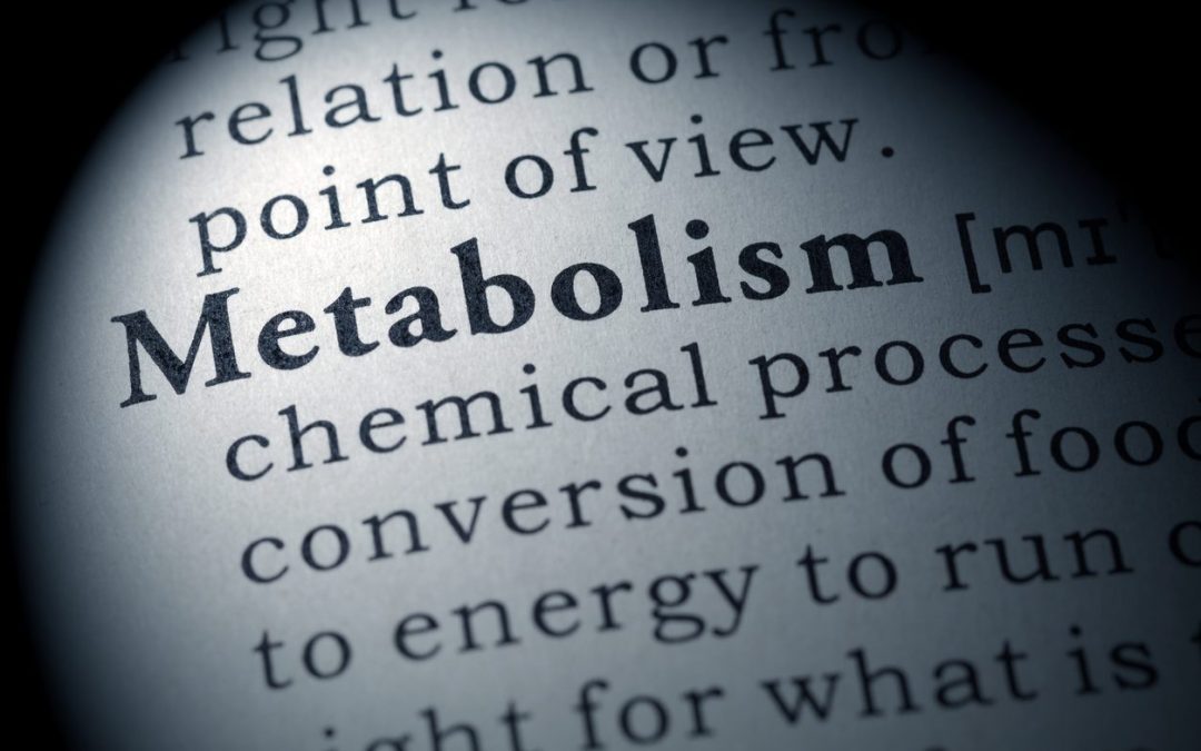 Weight Loss and Decreased Metabolic Rate: It’s Not as Bad as You Think