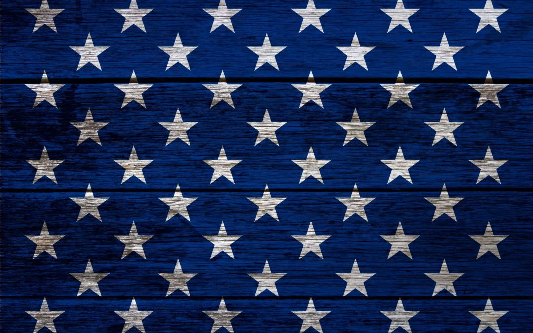 Fuck You, Vote Blue