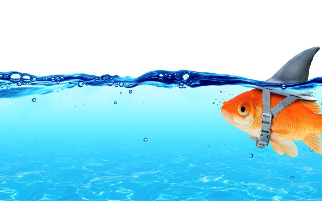 Imposter Syndrome: You’re Not Fooling Anyone