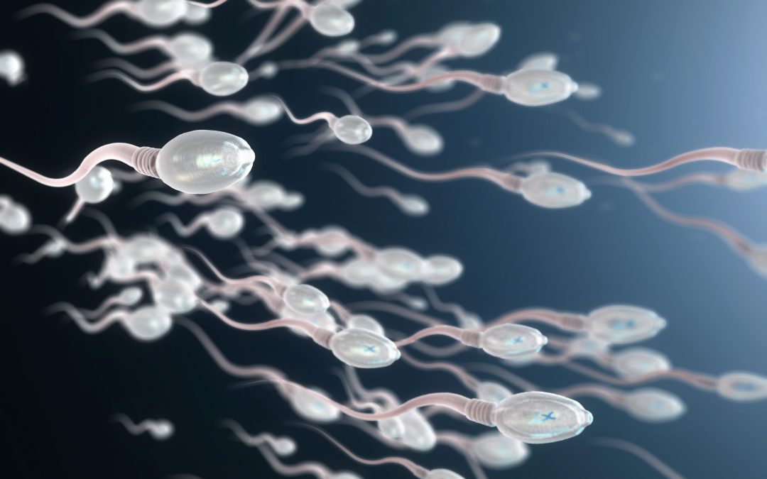 Shout Your Vasectomy